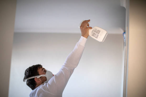 Best Professional Mold Removal  in Bally, PA