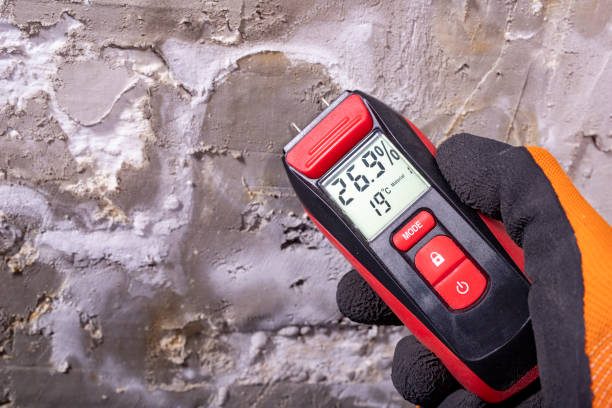 Professional Mold Removal in Bally, PA
