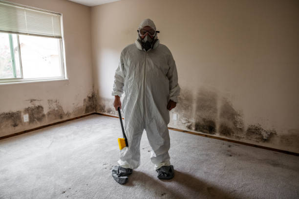 Water Damage Restoration in Bally, PA